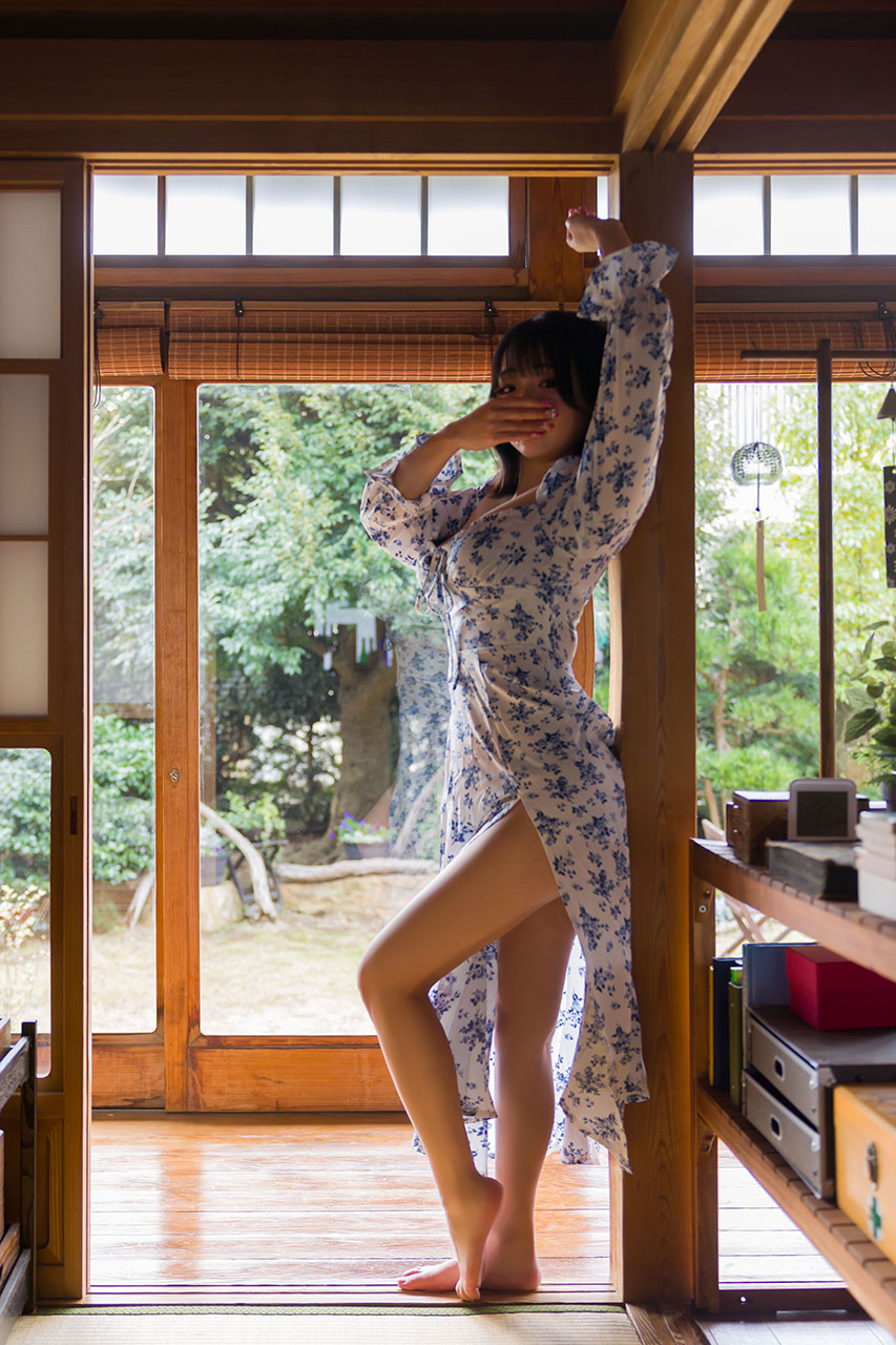 の一般写真4枚目